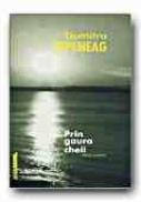 Prin Gaura Cheii - Tepeneag Dumitru