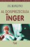 Al doisprezecelea inger - Og Mandino