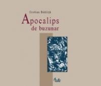 Apocalips de buzunar - Cristian Badilita