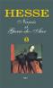Narcis si Gura-de-Aur - Hermann Hesse