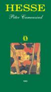 Peter Kamenzind - Hermann Hesse