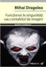 Functionar La Singuratati Sau Contabilul De Imagini - Dragolea Mihai