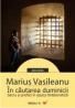 In Cautarea Duminicii. Sacru si Profan In Epoca Foiletonistica - Vasileanu Marius