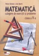 Matematica. Culegere De Exercitii si Probleme - Clasa A V-a  - Petre Simion, Ion Marin