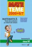 Matematica. Teme De Evaluare si Criterii De Notare. Clasa A Vi-a. Semestrul Ii - Lobaza Marius, Nemes Andrei, Piroska Iarger, Tomici Corina