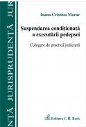Suspendarea Conditionata A Executarii Pedepsei - Morar Ioana Cristina
