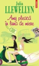 Amy pleaca in luna de miere - Julia Llewellyn