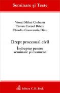 Drept procesual civil. Indreptar pentru seminare si examene - Ciobanu Viorel Mihai , Dinu Claudiu Constantin , Briciu Traian Cornel
