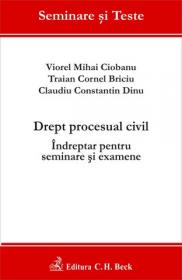 Drept procesual civil. Indreptar pentru seminare si examene - Ciobanu Viorel Mihai , Dinu Claudiu Constantin , Briciu Traian Cornel