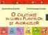 O CALATORIE IN LUMEA PLANTELOR SI ANIMALELOR - DUMITRU, Alexandrina ; DUMITRU, Viorel-George