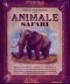 Animale safari - ***