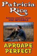 Aproape perfect - Patricia Rice
