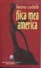 Fica mea America - Ileana Cudalb