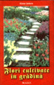 Flori cultivate in gradina - Elena Selaru