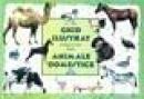 Ghid ilustrat - animale domestice -