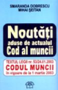 Noutati aduse de actualul Cod al muncii - Smaranda Dobrescu