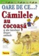 Oare de ce...? Camilele au cocoasa - ***