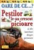 Oare de ce pestilor le-au crescut picioare? - Jackie Gaff