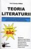 Teoria literaturii. Lucrare realizata pe baza programei de limba si literatura romana pentru examenul de bacalaureat elaborata de Ministerul Educatiei si Cercetarii - Doinita Mirea