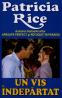 Un vis indepartat - Patricia Rice