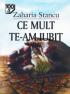 Ce mult te-am iubit - Zaharia Stancu