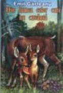 Din lumea celor care nu cuvanta - Emil Garleanu
