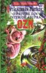 Intalnire in pleiade-o privire prin interior asupra OZN-urilor - Preston M. Nichols, Peter Moon