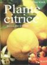 Plante citrice pentru sere si terase - Peter Klock