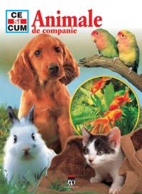 Animale de companie - Tessloff