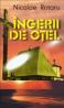 Ingerii de otel - Nicolae Rotaru