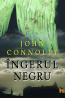 Ingerul negru - John Connolly