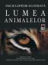 Lumea animalelor - Kingfisher