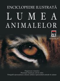 Lumea animalelor - Kingfisher