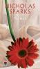 Nunta - Nicholas Sparks
