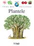 Plantele - Larousse