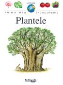 Plantele - Larousse