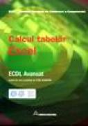 ECDL avansat - calcul tabelar Excel -