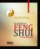 Feng Shui. Ce sa faci si ce sa nu faci -  Angi Ma Wong 