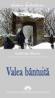 Valea bantuita - Ambrose Pierce