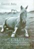 Calul La Prima Vedere: Calitati si Defecte - Gavril Bale