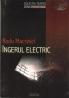 Ingerul Electric - Macrinici Radu