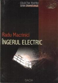 Ingerul Electric - Macrinici Radu