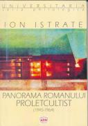 Panorama Romanului Proletcultist - Istrate Ion