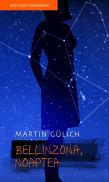 Bellinzona, noaptea - Martin Gulich