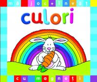 Ma joc si invat culori cu magneti - ***