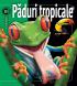 Paduri tropicale - Weldon Owen