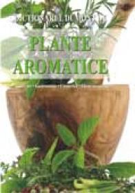Plante aromatice - Andrea Rausch