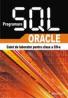 Programare SQL-Oracle caiet de laborator - Silca Ilici