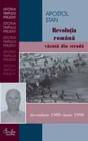 Revolutia romana vazuta vazuta din strada <decembrie 1989 - iunie 1990> - Apostol Stan