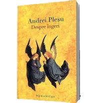 Despre ingeri - Andrei Plesu